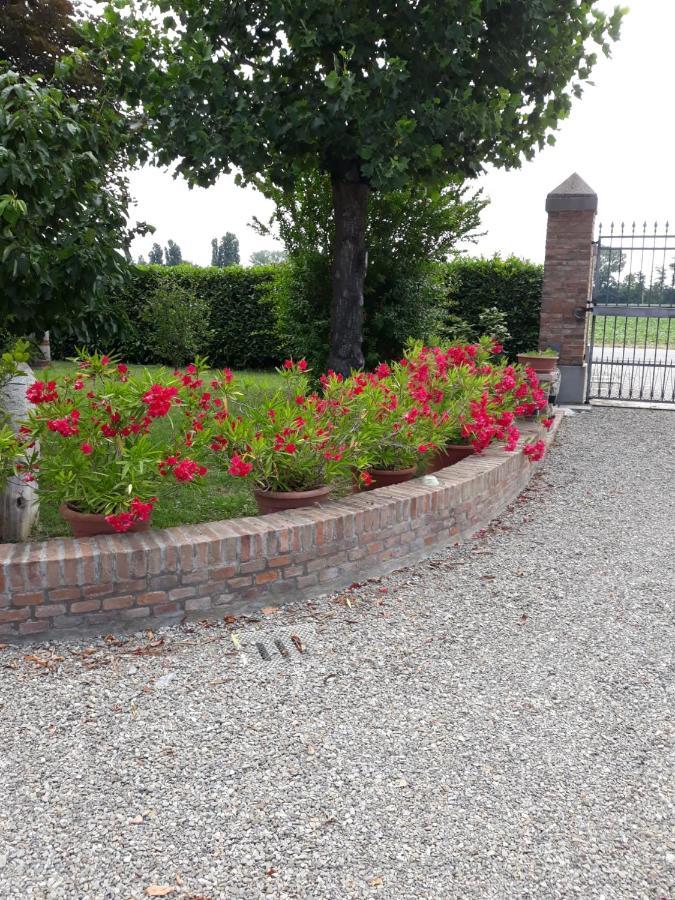 Al Sit Ed Marino Bed & Breakfast Castel Maggiore Bagian luar foto
